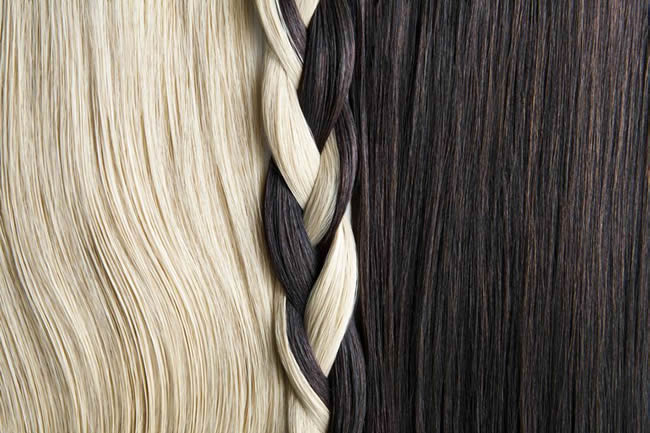 Still life of blond and brown hair, braided.