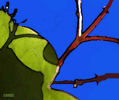 Abstract Art Painting Ideas