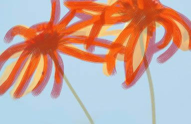 Use the shape of the petals as a starting point.