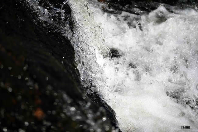 Reference Photos for Artists: Abstracts from Nature