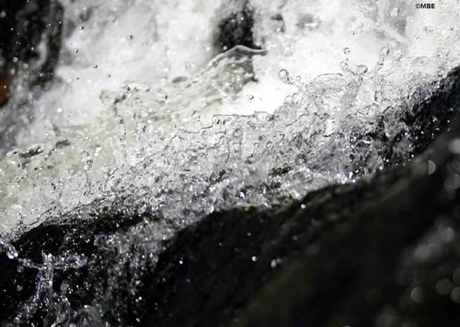 Reference Photos for Artists: Abstracts from Nature