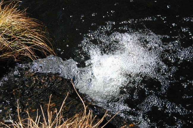 Reference Photos for Artists: Abstracts from Nature