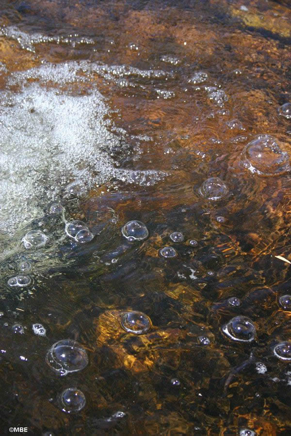 Reference Photos for Artists: Abstracts from Nature