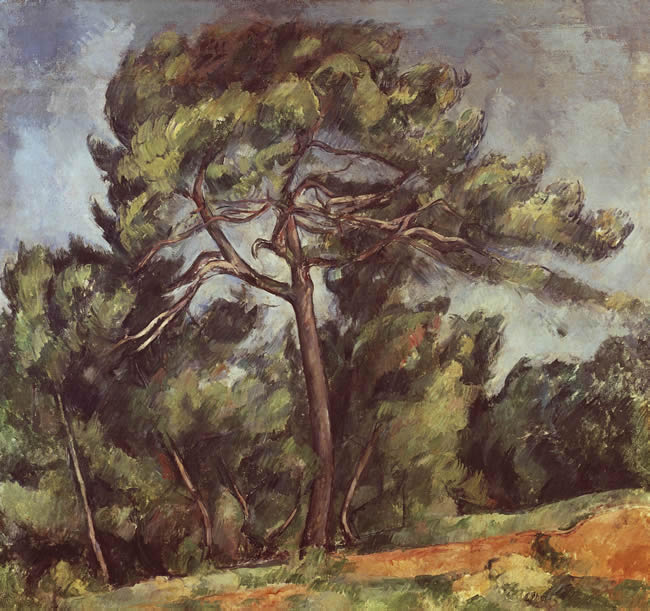 Painting of pine tree by Paul Cezanne showing massing of needles and leaves