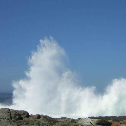 Buffels Bay, South Africa. Photo by Clark Botha.