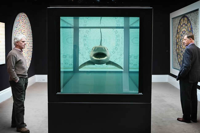 Damien Hirst shark