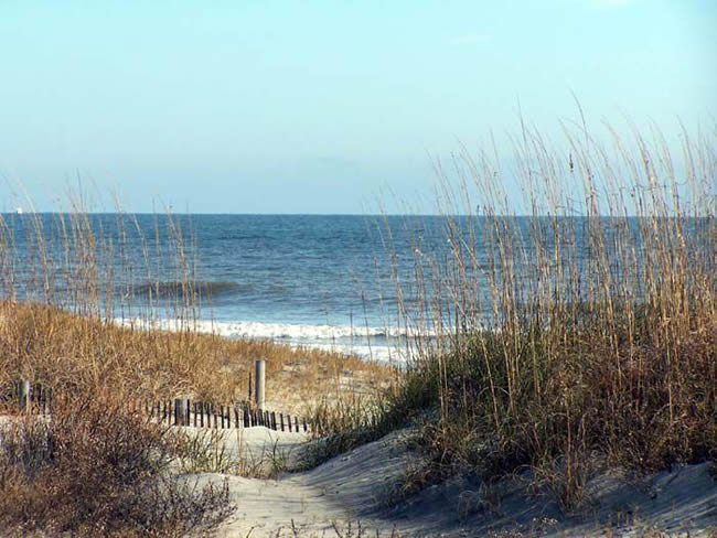 Reference Photos for Artists: Tybee Island Beach 1