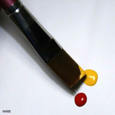 Decorative Painting Loading a Brush with Two Colors