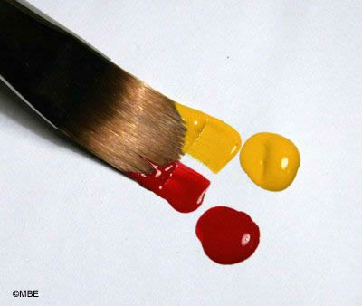 Decorative Painting Loading a Brush with Two Colors