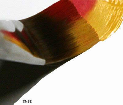 Decorative Painting Loading a Brush with Two Colors