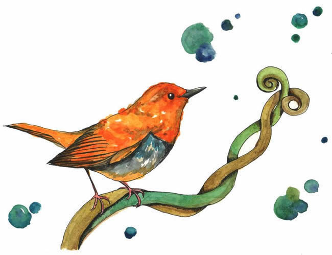 watercolor painting of an orange bird