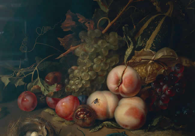 Comp Save to Board Italy, Florence, Still life with fruit and insects by Rachel Ruysch, 1711, oil on canvas, detail