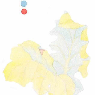 Painting glazes with watercolor