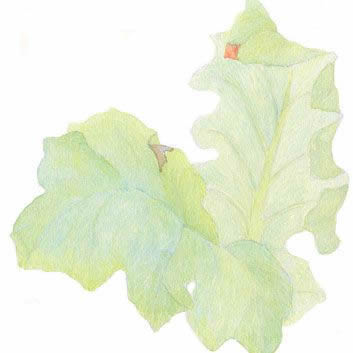 Glazing with watercolors