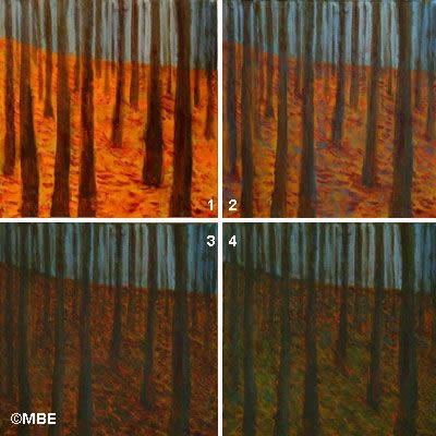Tree Painting Step by Step Demo -- Tree Painting in the Style of Klimt