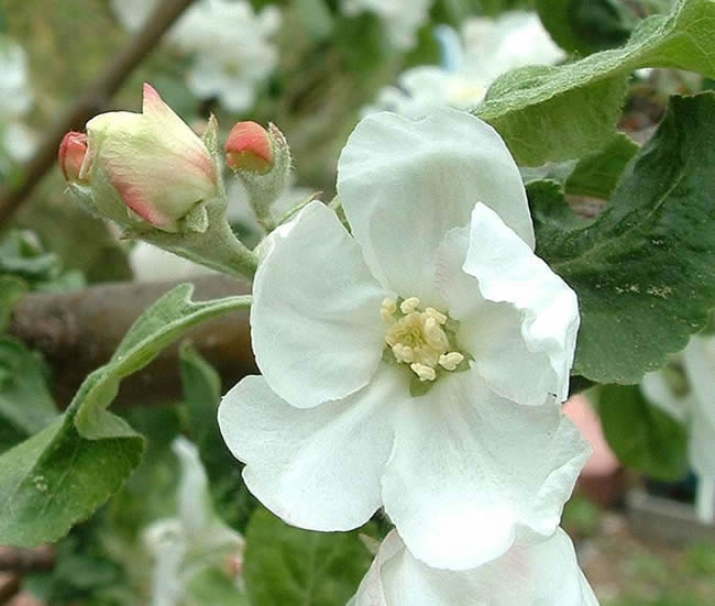 Artist's reference photos