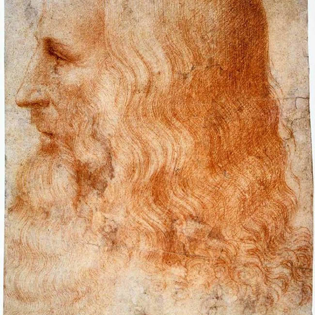 Francesco Melzi - Portrait of Leonardo, after 1510