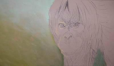 Background is painted before adding details