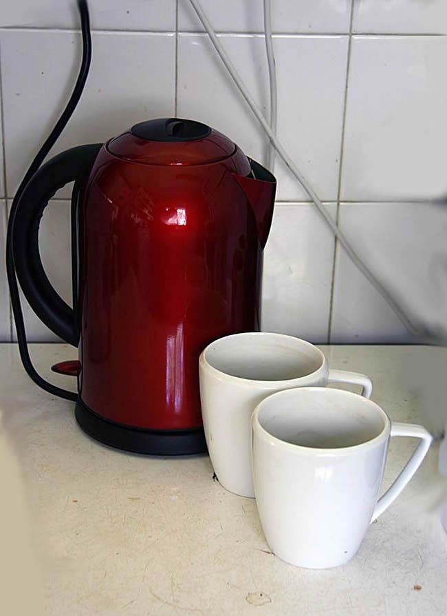 Artist's reference photos -- still life with red