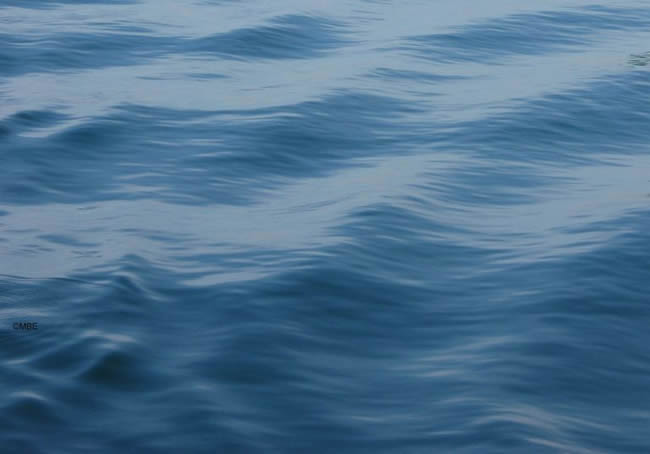 Abstract painting ideas from the sea