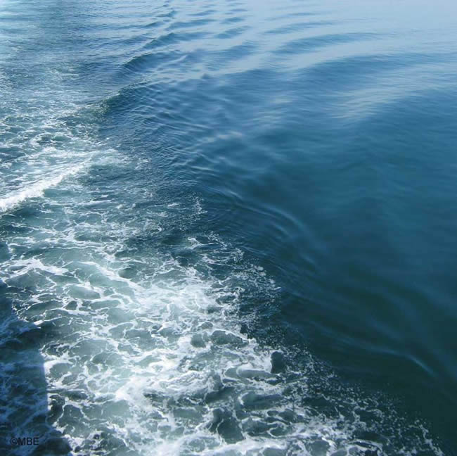 Abstract painting ideas from the sea