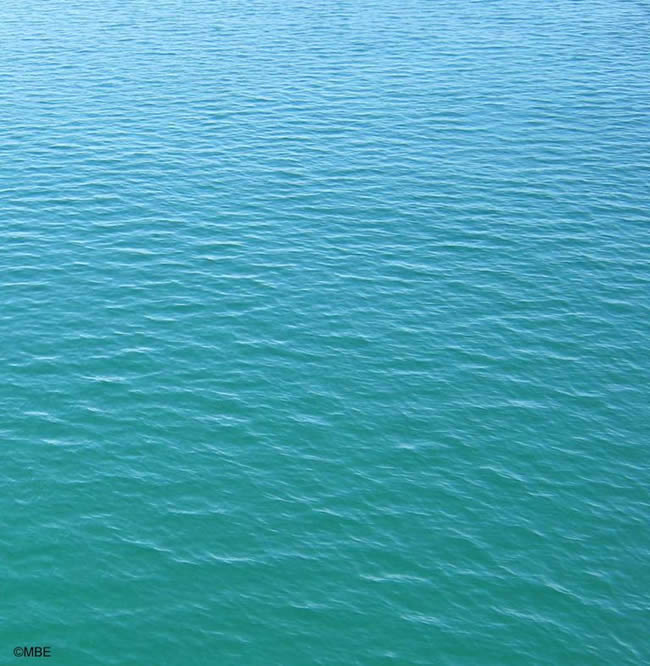 Abstract painting ideas from the sea