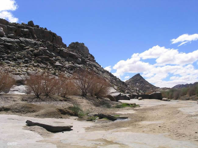 The Orange River with a blue sky and rocky cliff.