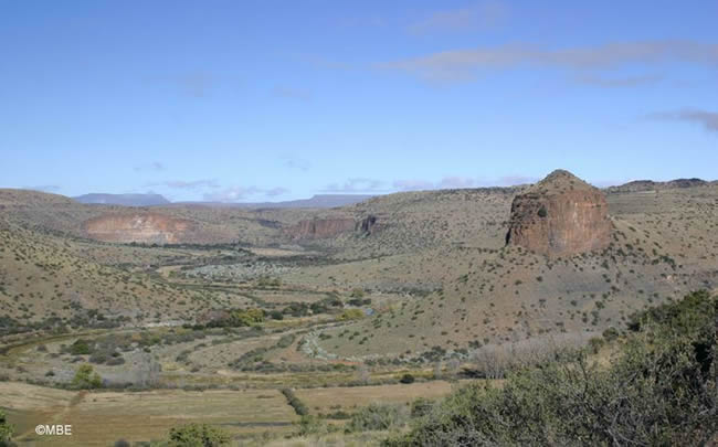 Sweeping valley vista dotted with small trees.
