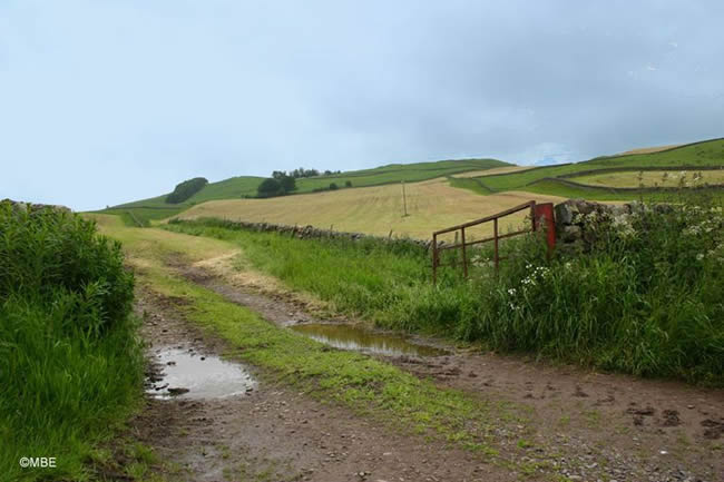 Scotland countryside with rolling hills and a muddy road leading into the distance.