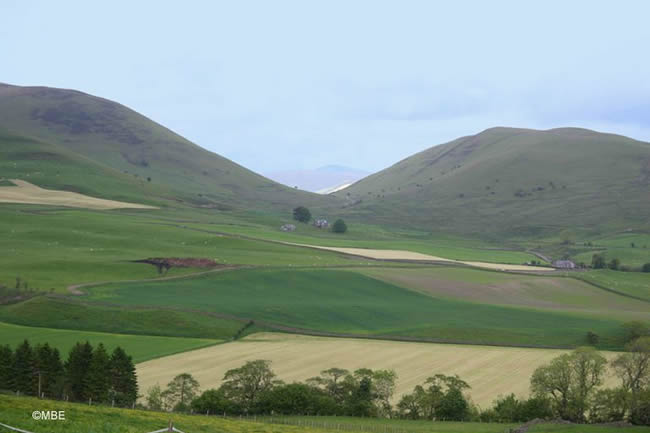 Low fields and two big hills against a blue sky in Scotland.