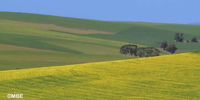 Landscape photo of green hills and a cloudless blue sky.