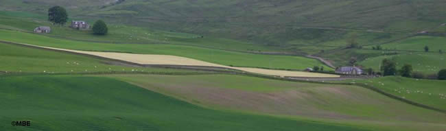 Scotland landscape with houses sitting on large fields.