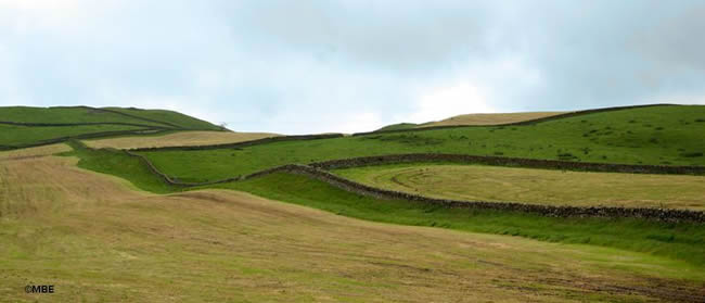 Empty rolling hills in Scotland under a cloudy sky.