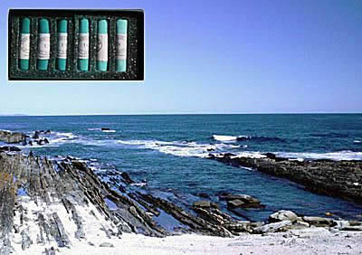 Pastel Painting Seascape Demonstration