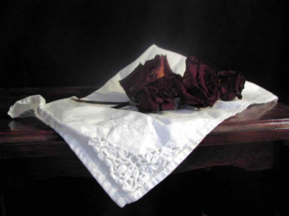 Artist's Reference Photos -- Still Life