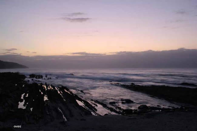 Reference Photos for Artist: Seascape, Tsitsikamma