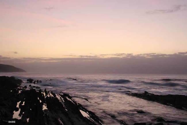 Reference Photos for Artist: Seascape, Tsitsikamma