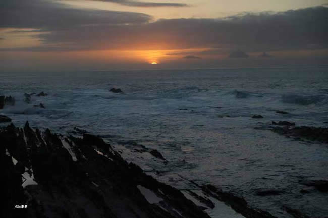 Reference Photos for Artist: Seascape, Tsitsikamma