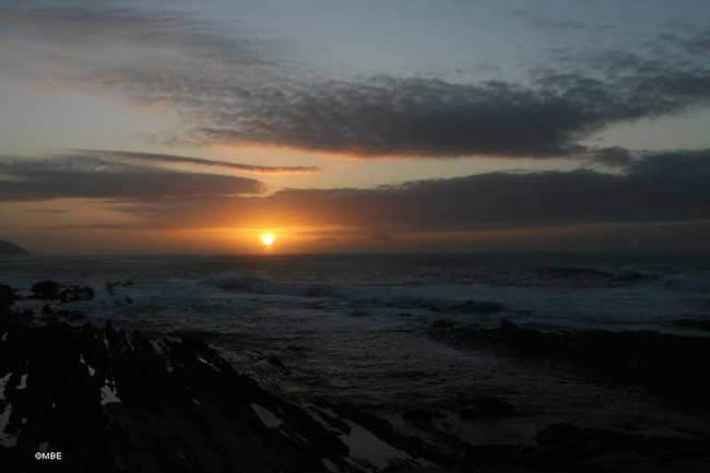 Reference Photos for Artist: Seascape, Tsitsikamma