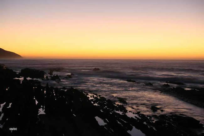 Reference Photos for Artist: Seascape, Tsitsikamma