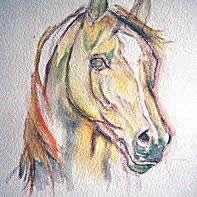 Watercolor horse painting