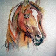 Watercolor horse painting