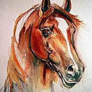 Watercolor horse painting