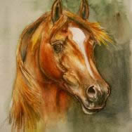 Watercolor horse painting