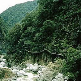 Step-by-step Chinese Painting by Zhaofan Liu