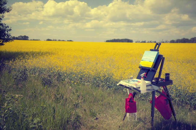 Artist's plein air easel set up in a field.