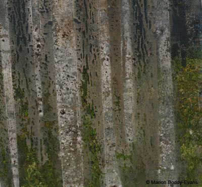 Problem with Masking Tape in a Painting