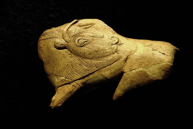Close up of a Neolithic ivory bison against black background.