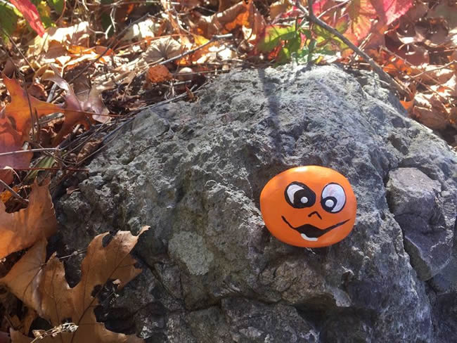 Orange painted stone with smiling face sitting on rock surrounded by leaves.