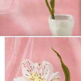 Flower painting composition